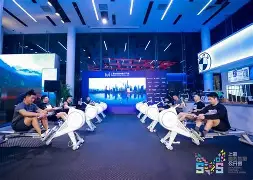 巴西狂欢节到底有多开放 巴西狂欢节到底有多开放