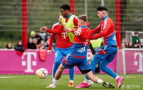 关于荷甲倒计时；拜仁慕尼黑国际比赛日造点机会；细节引发关注；话题不断；纪律约束更严格的信息